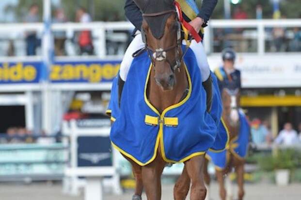 CSI4* Geesteren: Podiumplaats voor Clemens CSI4* Geesteren: Podiumplaats voor Clemens