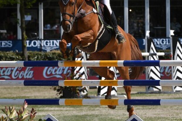 CSI2* Deauville : Jan Claeys op 4!