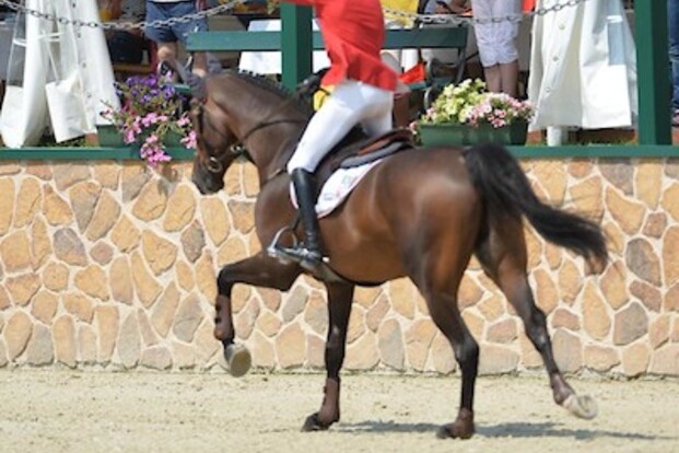 CSI2* Roeser : Kevin Maus net niet CSI2* Roeser : Kevin Maus net niet