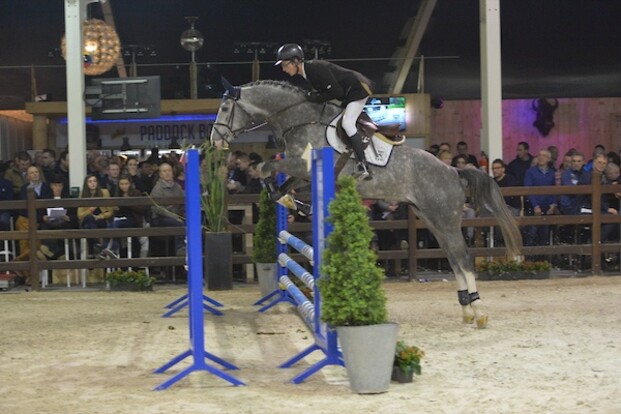 VOR-kampioenschappen jonge paarden VOR-kampioenschappen jonge paarden