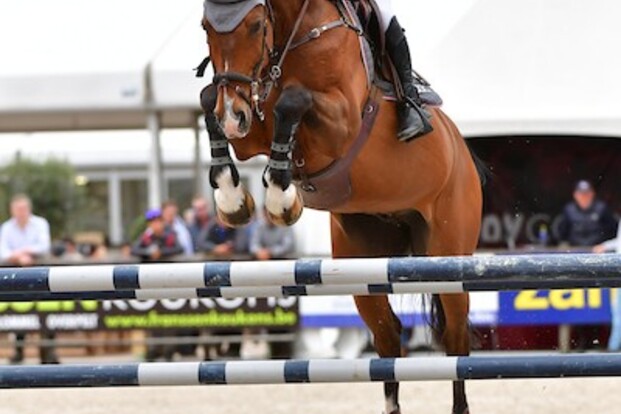 CSI4* Geesteren: Vervoort opnieuw in top 5!