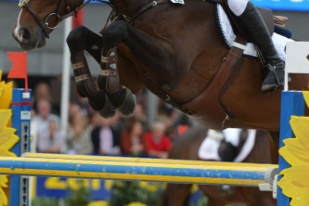 Boy-Adrian pakt junioren-GP op Indoor Twente