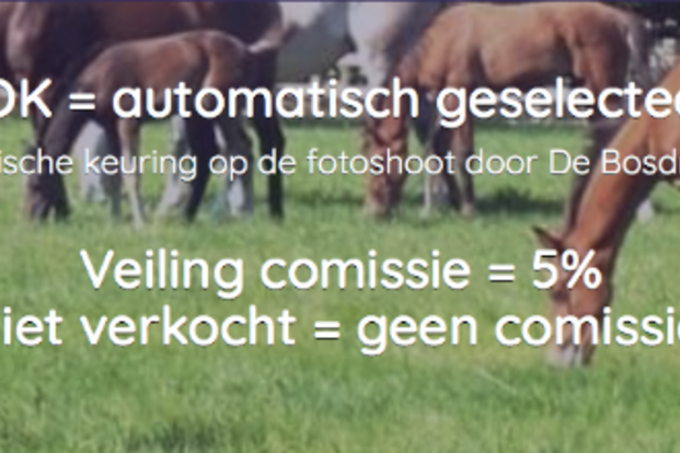 Innovatief concept voor HippoChamp Innovatief concept voor HippoChamp