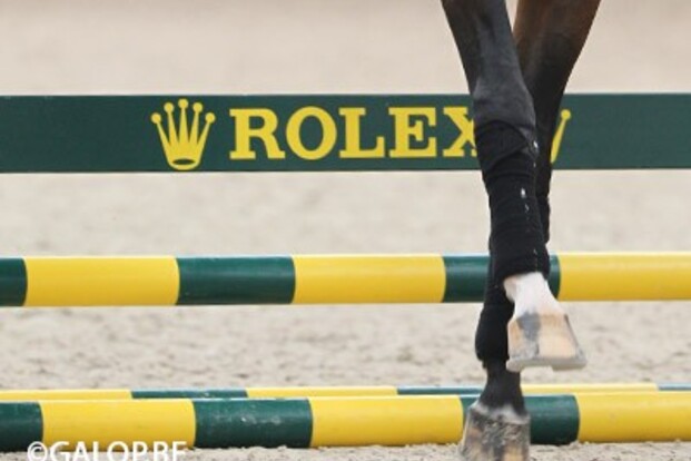 Vijf maal vijf sterren op WEF in Wellington