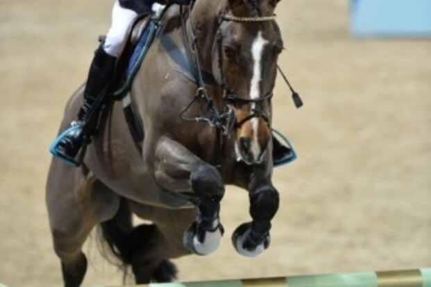 Alweer 1.50m-proef voor Abbervail & Lynch