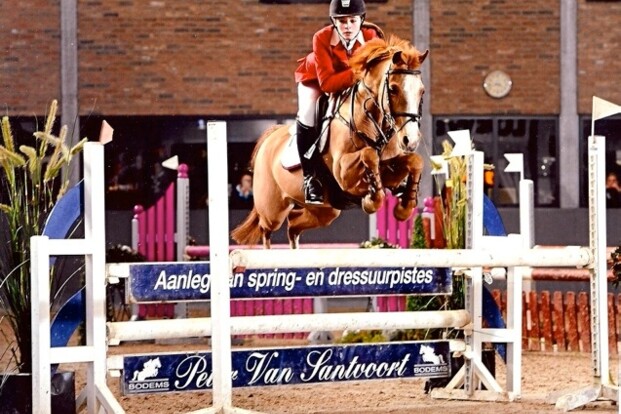 Winnetou naar USA via KG-sporthorses