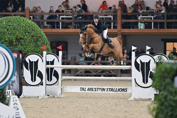 De tweede manche van de Lannoo Belgian Stallion Competition Powered by Euro Horse komt eraan