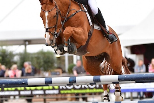 CSI3* Roeser: Hemeryck 3de in 1m45