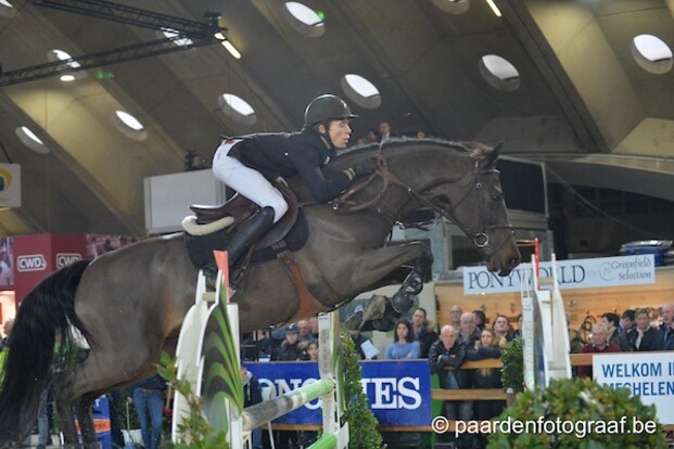 CSI2* Lier: T. Spits, De Winter & Demeersman