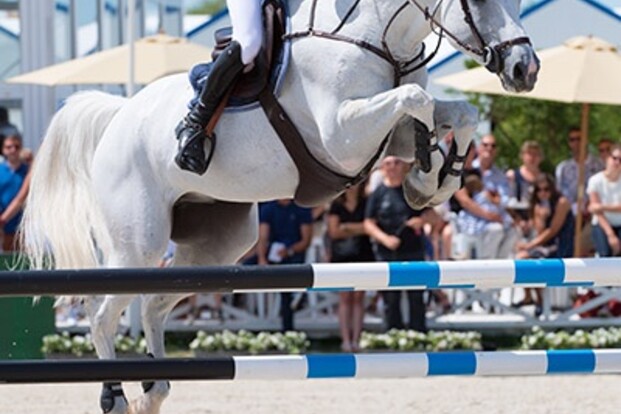 Knokke Hippique: 3* GP voor Pieter Devos