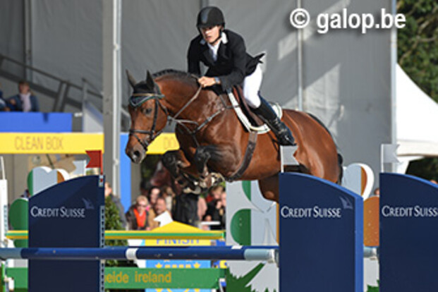 Bronzen Cidane wint GMB Hengstencompetitie