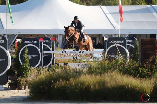 World Champion Embryo editie loopt ten einde! World Champion Embryo editie loopt ten einde!