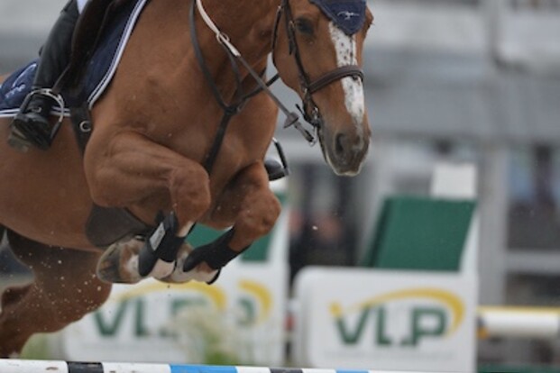 CSIO-Ch Wierden: Straffe resultaten volgen