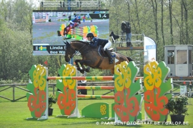 Nieuw GP-paard voor Cassandra Braeckmans Nieuw GP-paard voor Cassandra Braeckmans