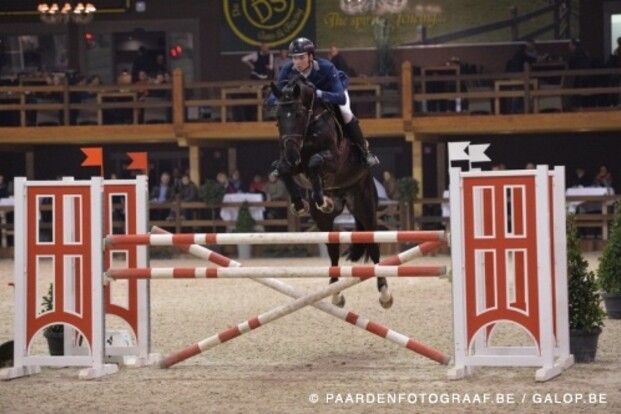 I'm Special wint hengstenproef Den Bosch