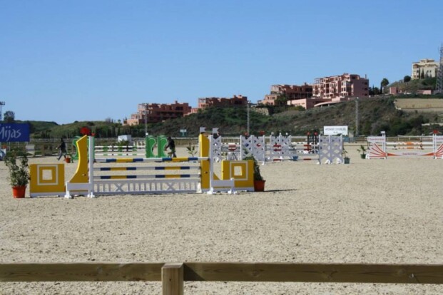 Zesjarige Belgische paarden bezette podium Zesjarige Belgische paarden bezette podium