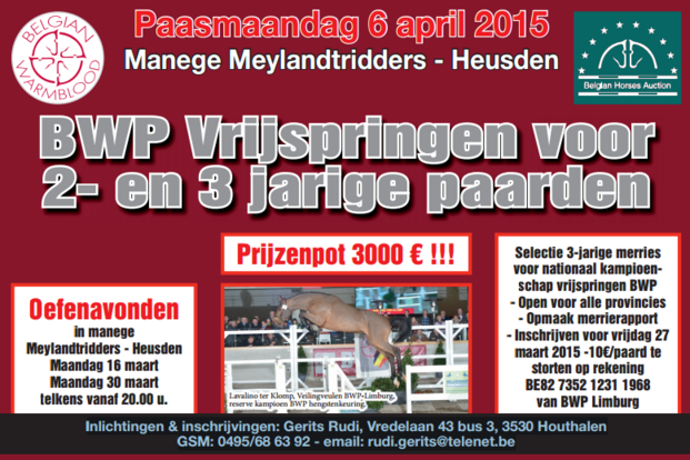 BWP vrijspringen voor 2- en 3-jarige paarden BWP vrijspringen voor 2- en 3-jarige paarden