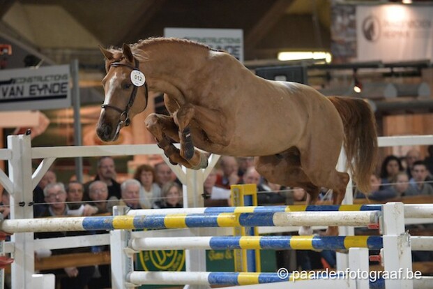 Eerste geselecteerden halve finale gekend