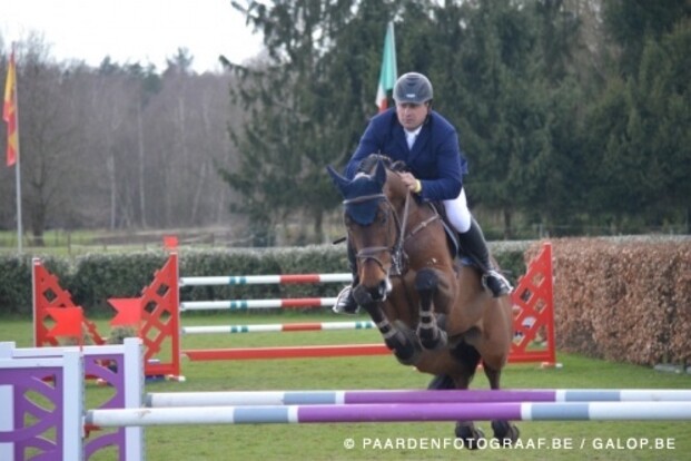 Michael Whitaker neemt paarden De Waele over