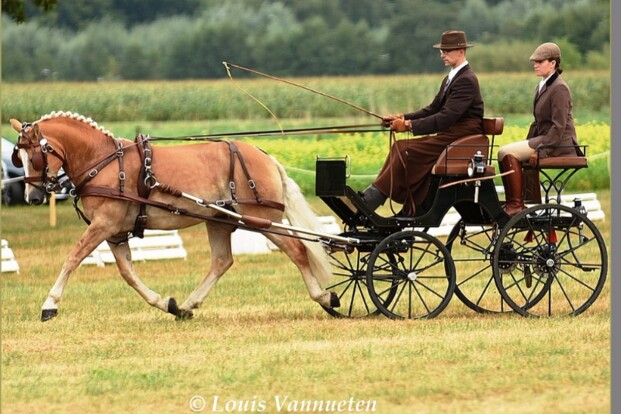 Dillenburg, Denny Schuddinck wint vaardigheid