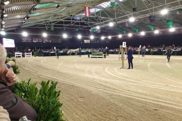 Horseman Auction: veilingtopper voor 68.000