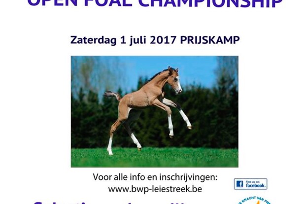Flanders Open Foal Championship