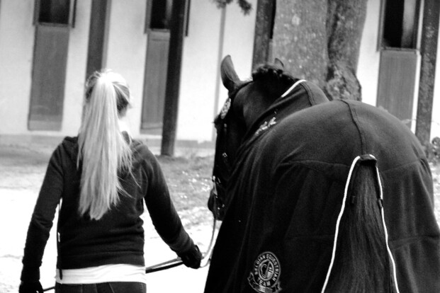 Alexa Fairchild koopt GP-paard