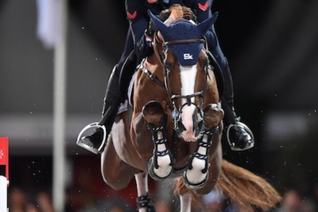 Stephex Stables domineert wereldranglijsten Stephex Stables domineert wereldranglijsten