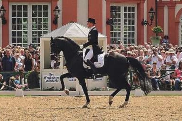 Wereldtop dressuur!