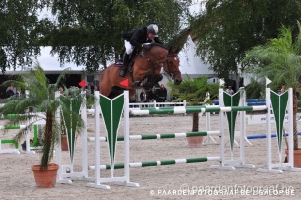 Engelse amazones winnen zowat alles
