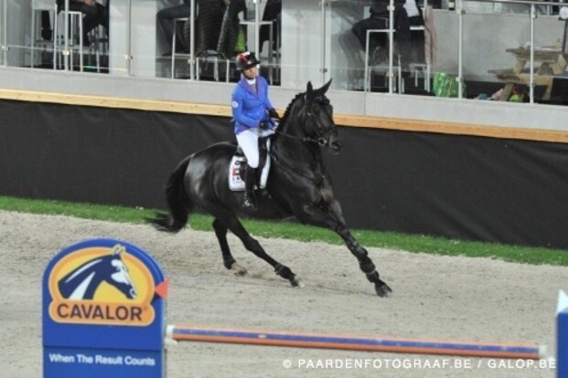 Nabab de Revel tweede in GP CSIO Abu Dhabi