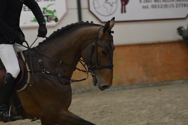 CSI1* Lier: Henaut komt net tekort…