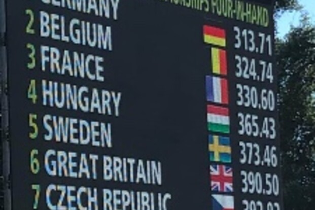 Zilver en Brons in Donaueschingen