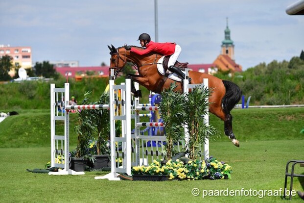 CSI2* Lier: Thomas winst 1ste kwalificatie!