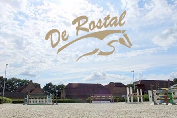 Rostal : thuis/wedstrijd groom gezocht