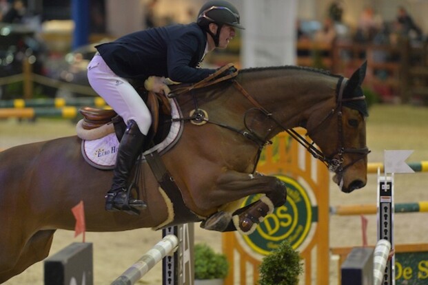 Euro Horse verkoopt Calvaro-merrie Tendresse