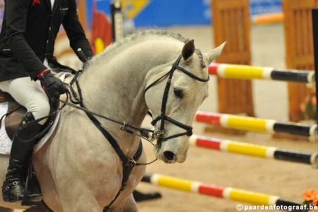 Vestfold: ook GP voor Vrieling