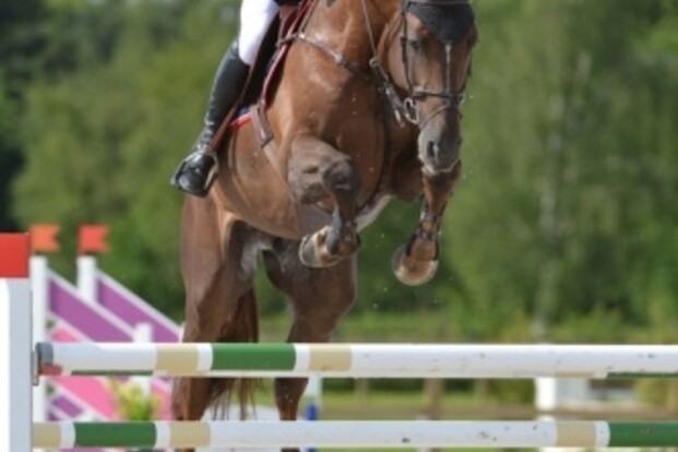 Smolders en Don VHP Z tweede in GP