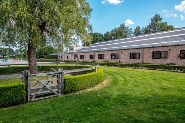 Stal Bleux zoekt iemand op leercontract Stal Bleux zoekt iemand op leercontract