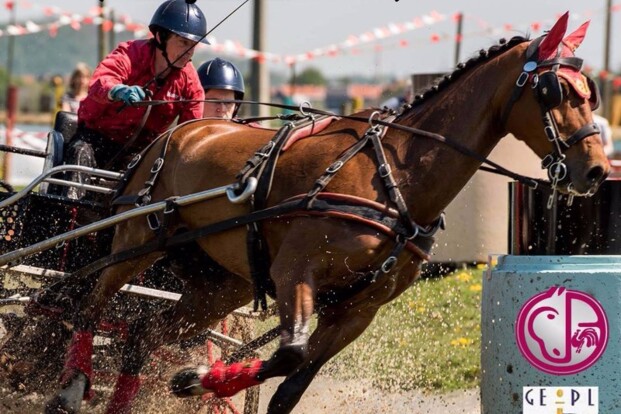 Flémalle, startlijsten en uitslagen LIVE