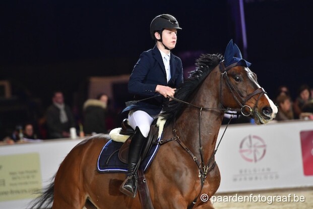 BK Pony's: Gilles Nuytens als enige foutloos
