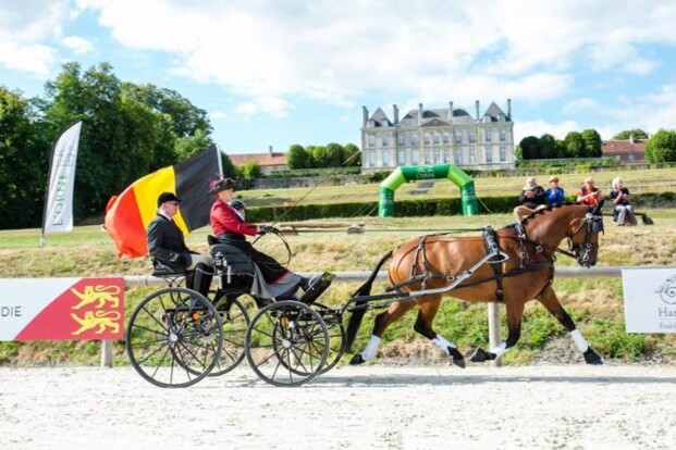 3 x Belgisch Volkslied in Le Pin au Haras