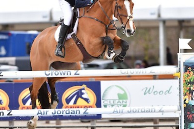 LGCT Hamburg: Verlooy wint openingsrubriek!