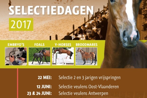 Auction Antwerp to the next level Auction Antwerp to the next level