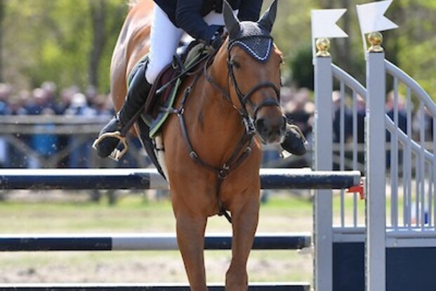 CSI3* Moorsele: Jan Claeys wint opnieuw!