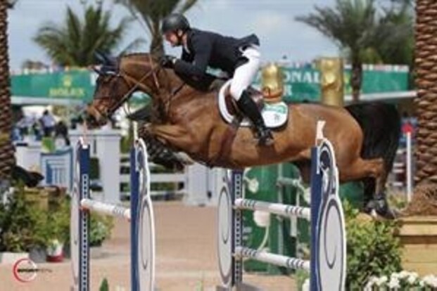 Winst voor Carlos VHP Z in slotproef WEF 4 Winst voor Carlos VHP Z in slotproef WEF 4
