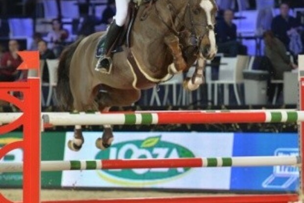 Echo van Spieveld knap 7e in 1.50m Treffen Echo van Spieveld knap 7e in 1.50m Treffen
