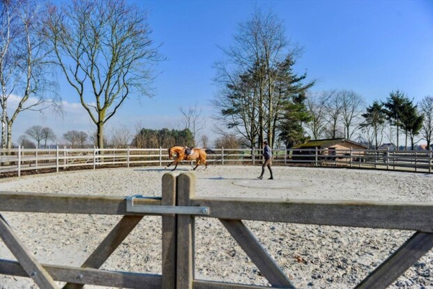 Te huur: hippisch complex in Morkhoven Te huur: hippisch complex in Morkhoven