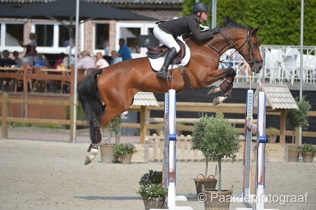 Pieter Kenis wint CSI1* GP van Bonheiden!