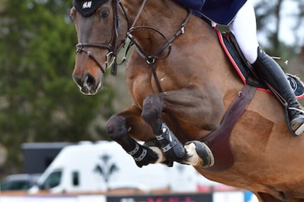 CSIO5* Samorin: Phililippaerts mist podium